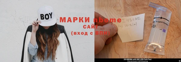 хмурый Алзамай