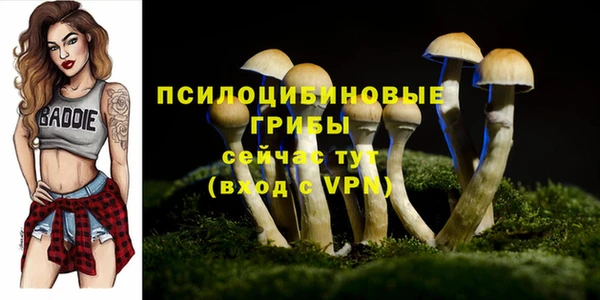 ALPHA PVP Алексеевка