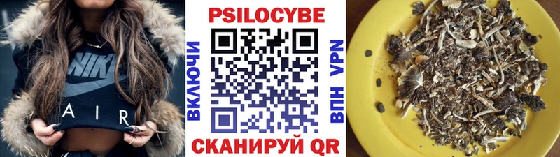 Псилоцибиновые грибы Magic Shrooms блэк спрут зеркало Межгорье