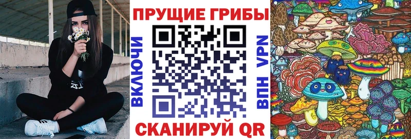 Галлюциногенные грибы MAGIC MUSHROOMS Межгорье